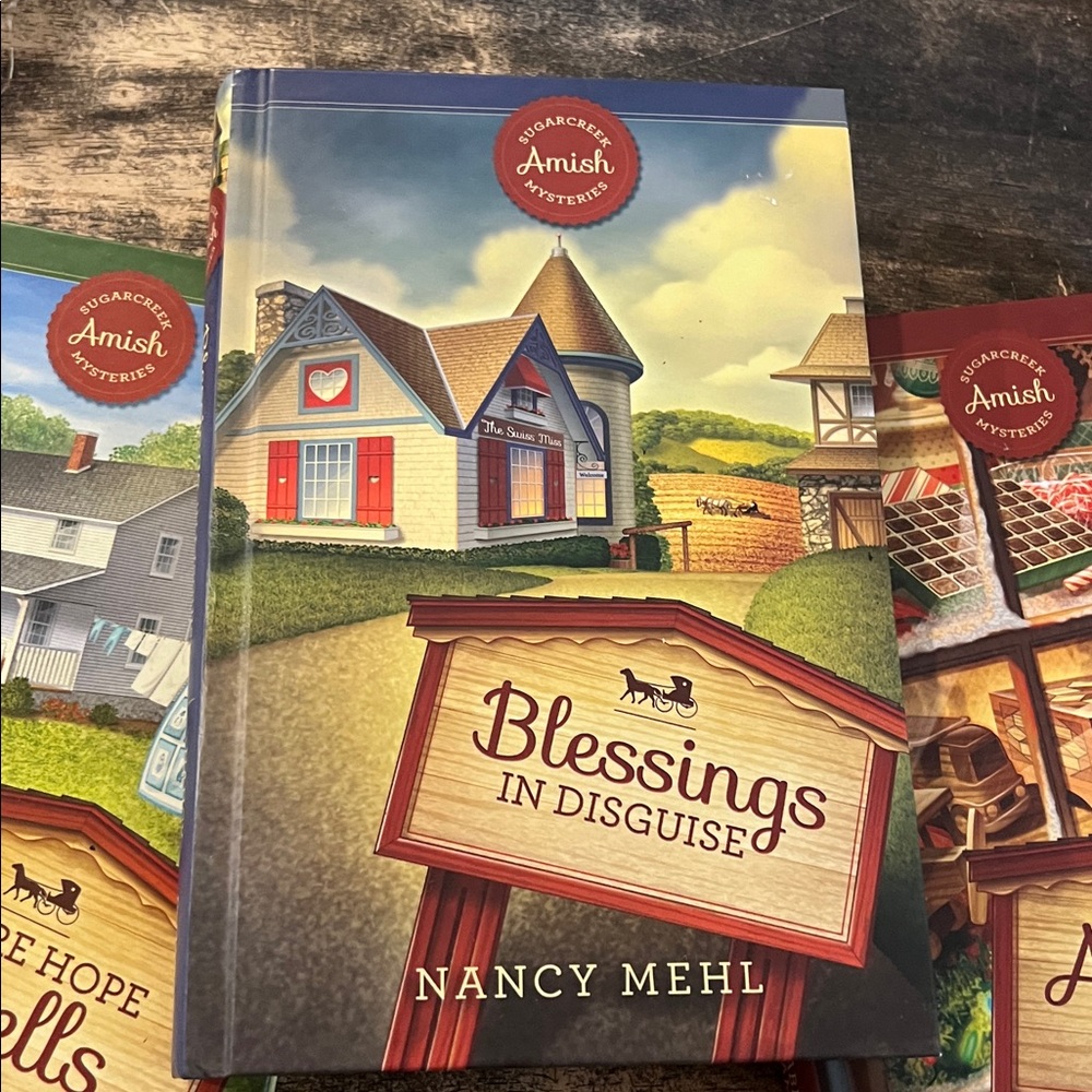 Amish mystery books - Picture 3 of 5